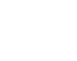 ochoa_blanco_logo